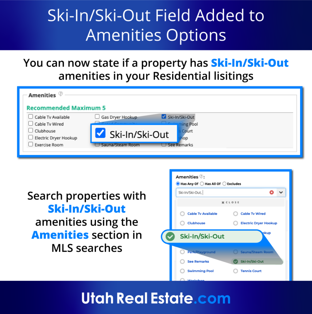 Ski-In/Ski-Out Field Added to Amenities Options